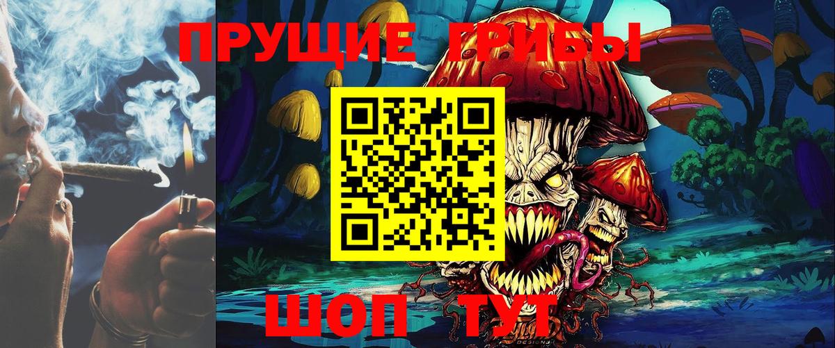 Псилоцибиновые грибы MAGIC MUSHROOMS Тосно