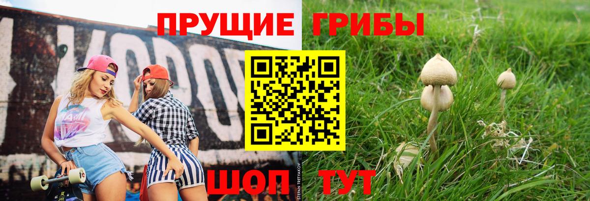 Псилоцибиновые грибы ЛСД  Вход с VPN  Тосно 