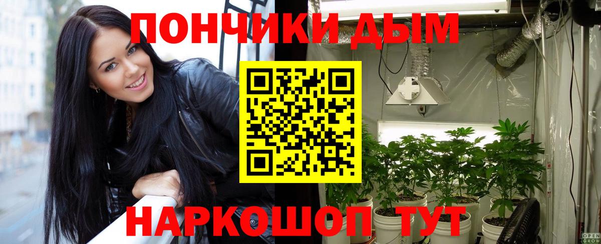 Канабис индика Тосно